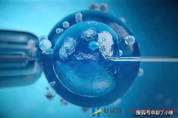 哪些情况下不能做第三代试管婴儿手术(图1) 哪些情况下不能做第三代试管婴儿手术(图1)