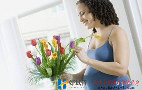 第二期试管婴儿的费用是多少做试管婴儿前你需...(图1) 第二期试管婴儿的费用是多少做试管婴儿前你需...(图1)