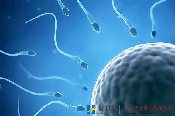 中国第一例试管婴儿成功当妈对试管婴儿有什么意义(图1) 中国第一例试管婴儿成功当妈对试管婴儿有什么意义(图1)