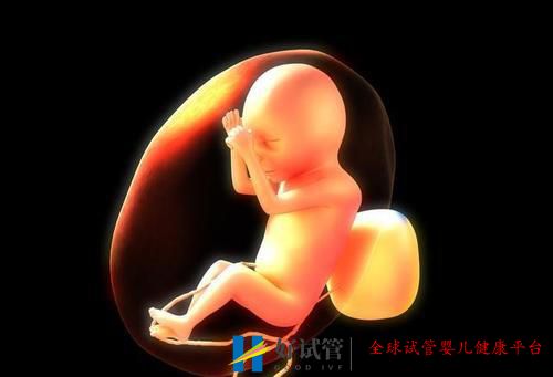 女性雌二醇低可以做试管婴儿吗有什么影响(图1) 女性雌二醇低可以做试管婴儿吗有什么影响(图1)