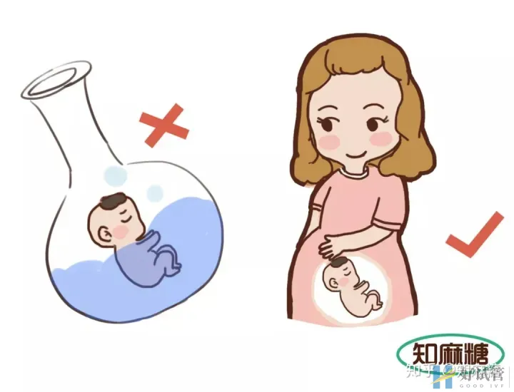 什么是试管婴儿一代二代三代(什么是“试管婴儿”?)墙裂推荐(图6) 什么是试管婴儿一代二代三代(什么是“试管婴儿”?)墙裂推荐(图6)