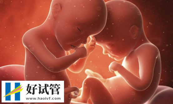 三代试管做双生子的条件,胚胎质量和卵巢功能好才能做(图3) 子宫内膜薄可能导致胚胎着床困难