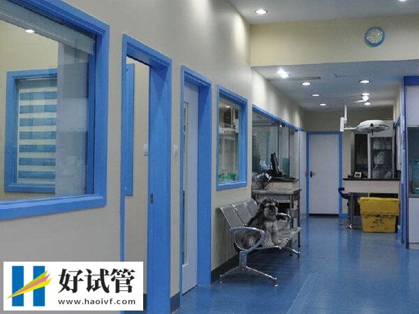 郴州市第一人民医院试管婴儿,除了妊娠率高还有这3大优势(图3) 做试管婴儿要注意什么