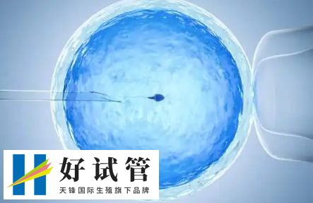 试管短方案促排卵泡长得慢要重新定方案吗?(图1) 促排卵泡长得慢可能需要调整药物剂量